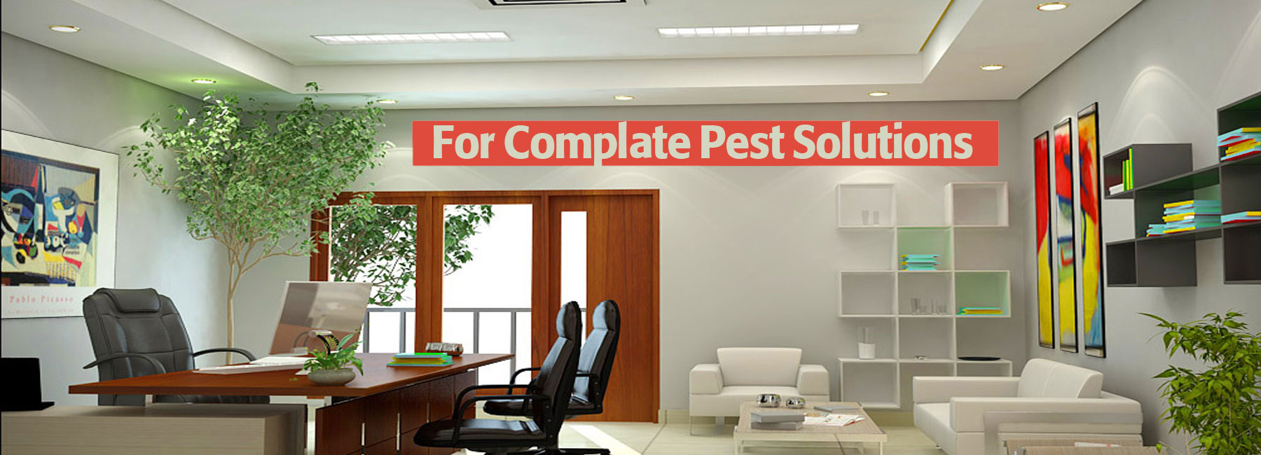 Office Pest Control Treatment